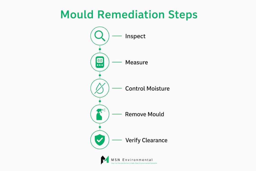 Infographic illustrating mould remediation process