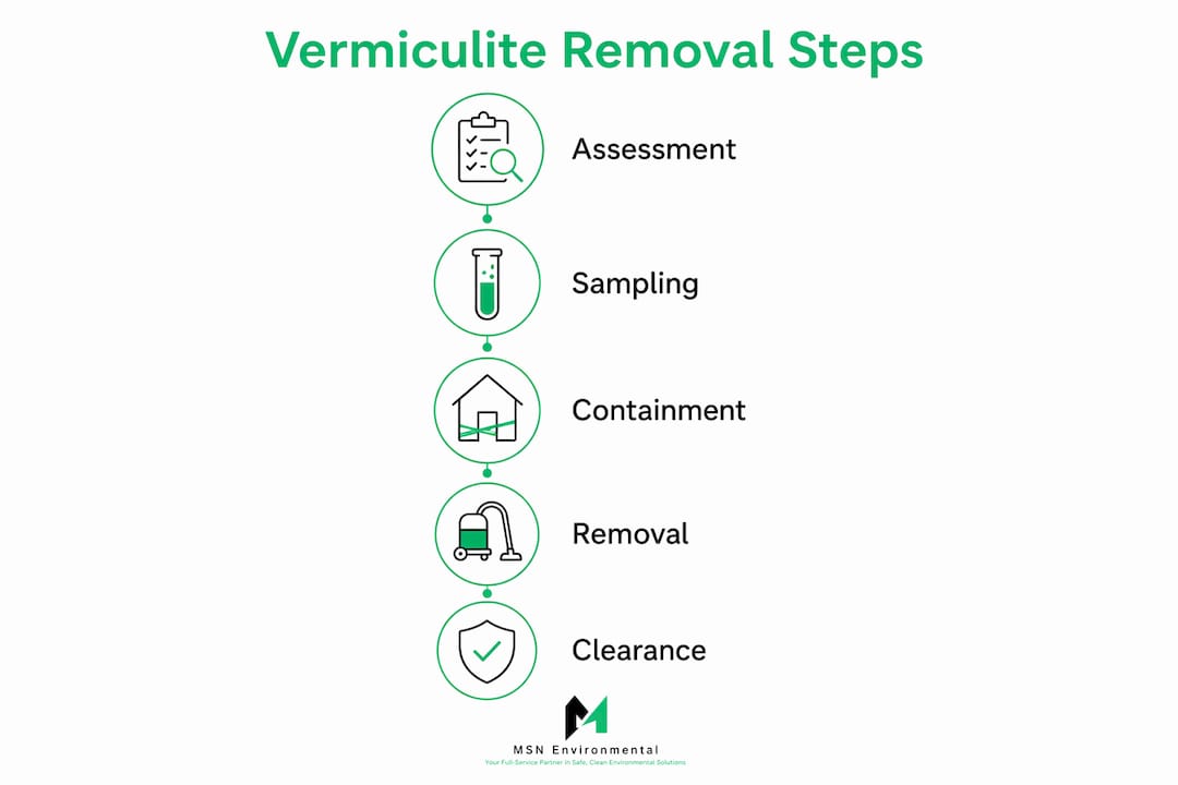 Infographic illustrating vermiculite removal steps