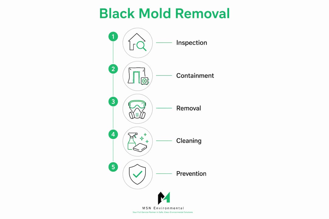 Infographic showing black mold removal steps