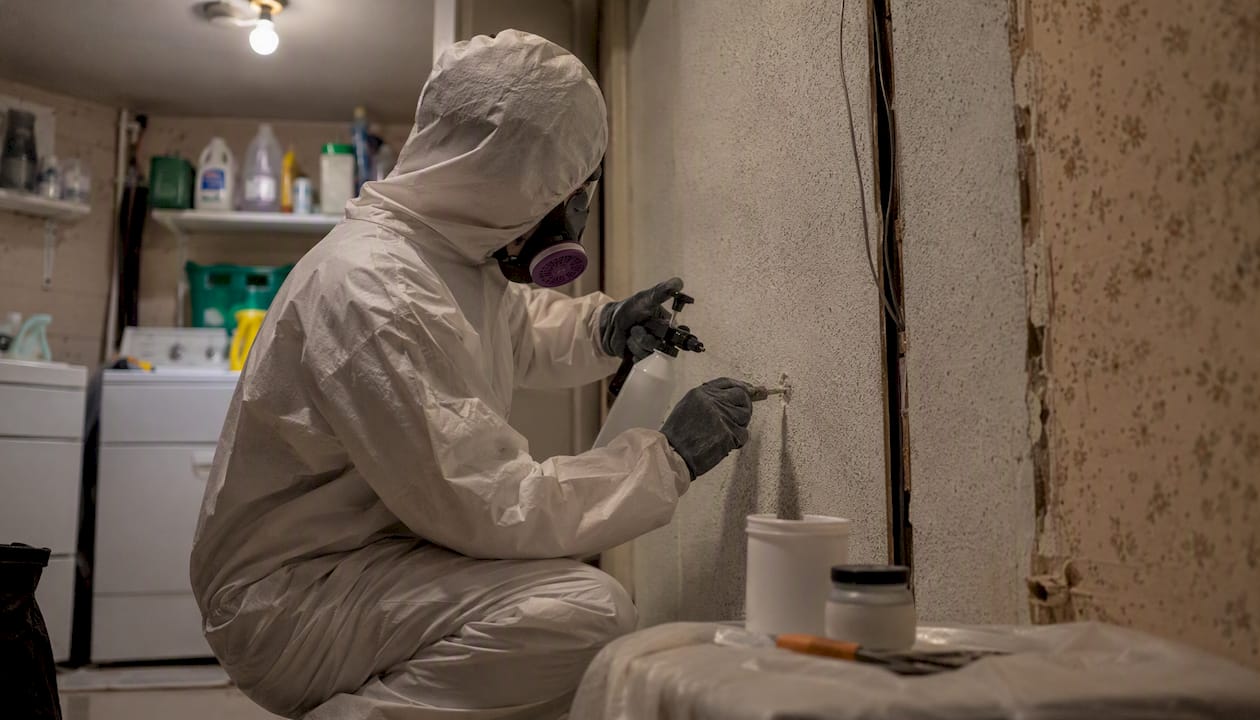Technician sampling plaster wall for asbestos