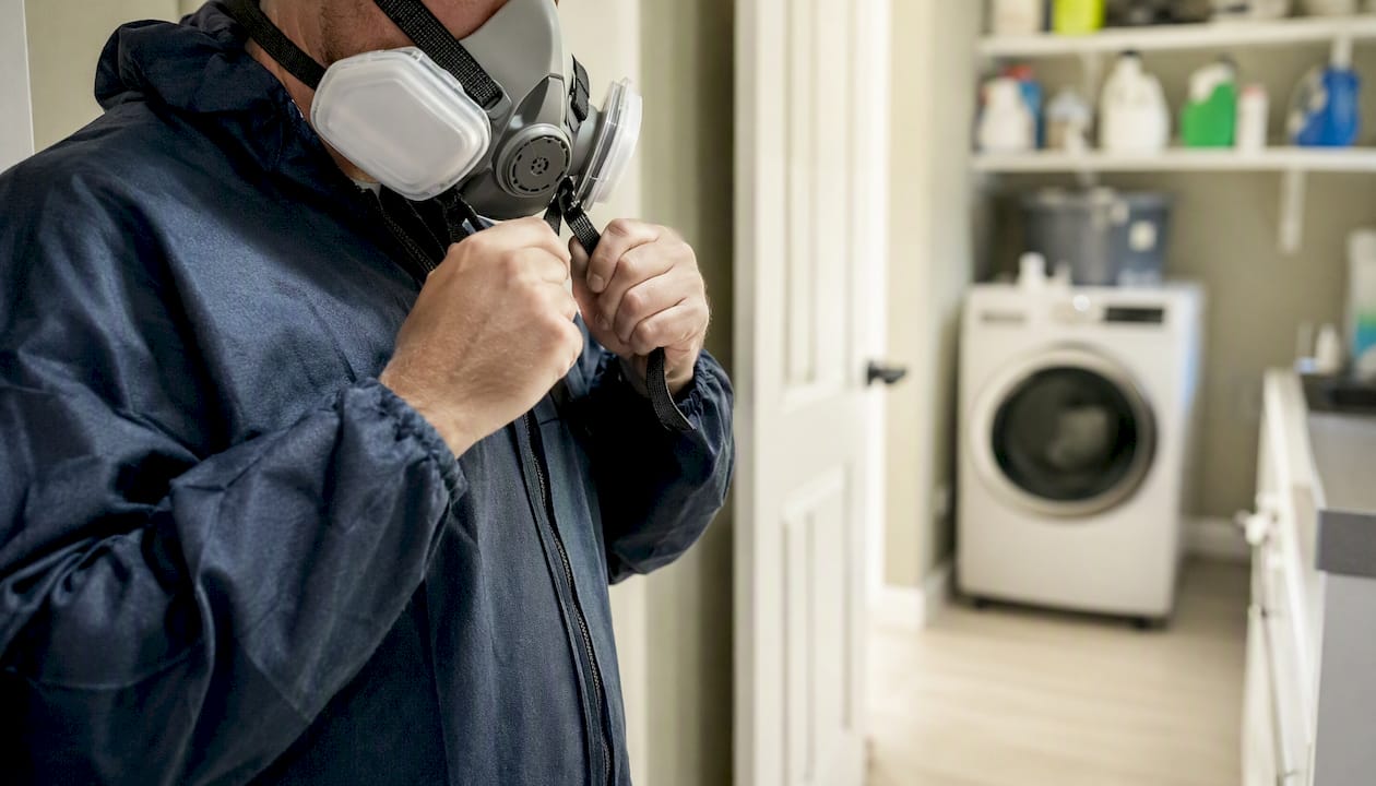 Hands wearing gloves and respirator for mould cleanup