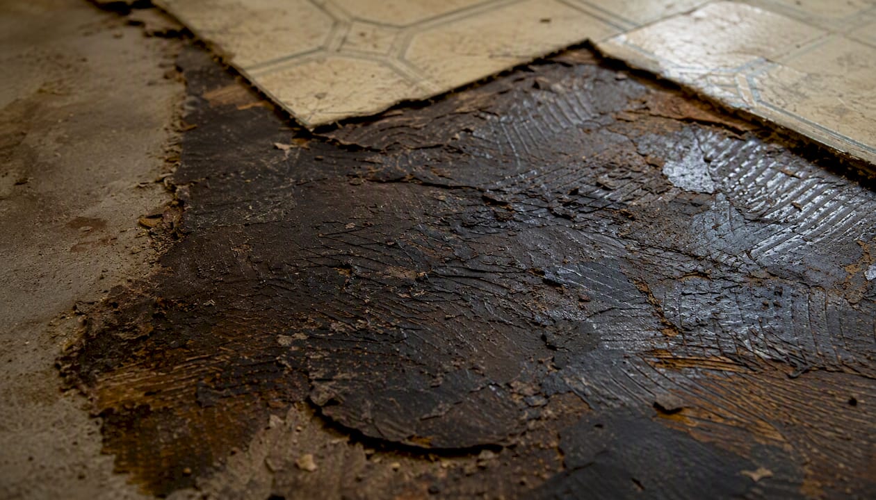 Close-up of asbestos mastic adhesive on floor