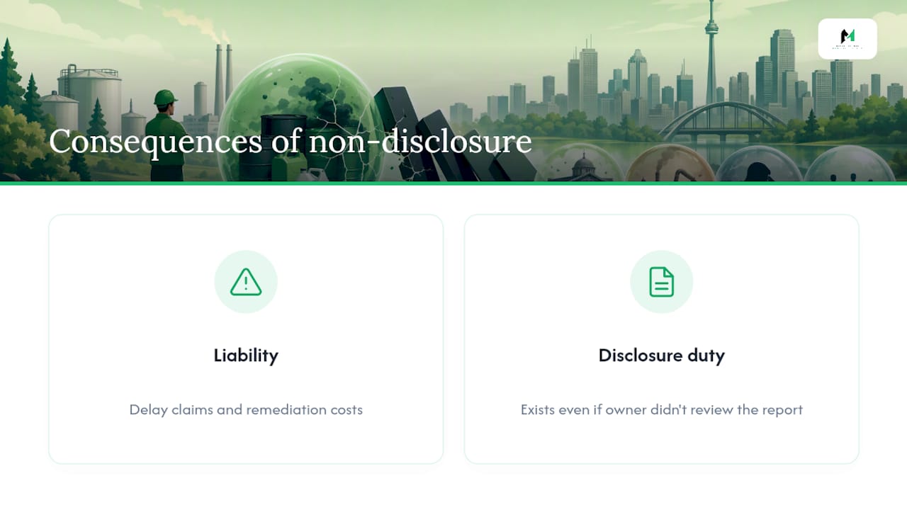 What happens if an owner doesn't disclose the DSR to bidders? — overview diagram
