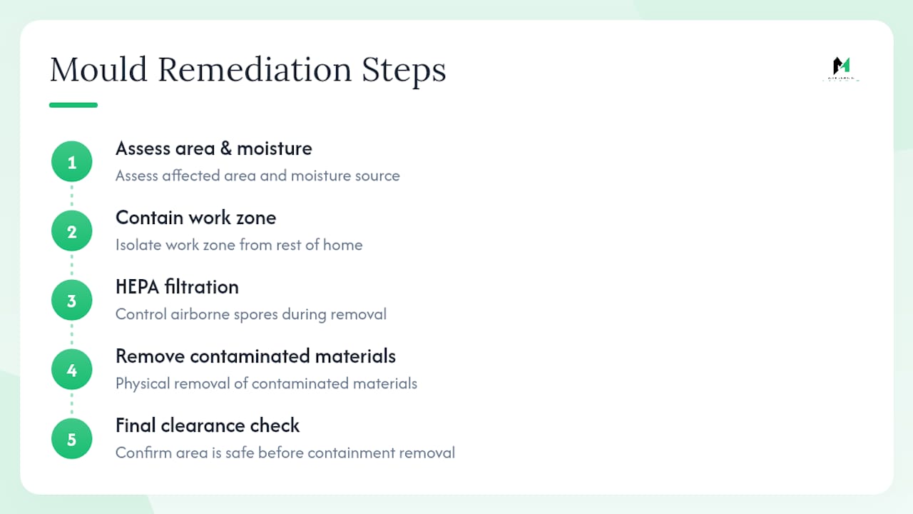 Five steps in professional mould remediation