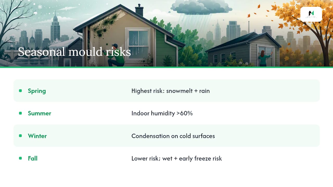 Seasonal mould risks in London homes