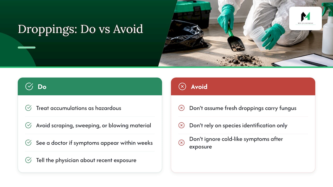 What histoplasmosis risk means for droppings in your home — overview diagram