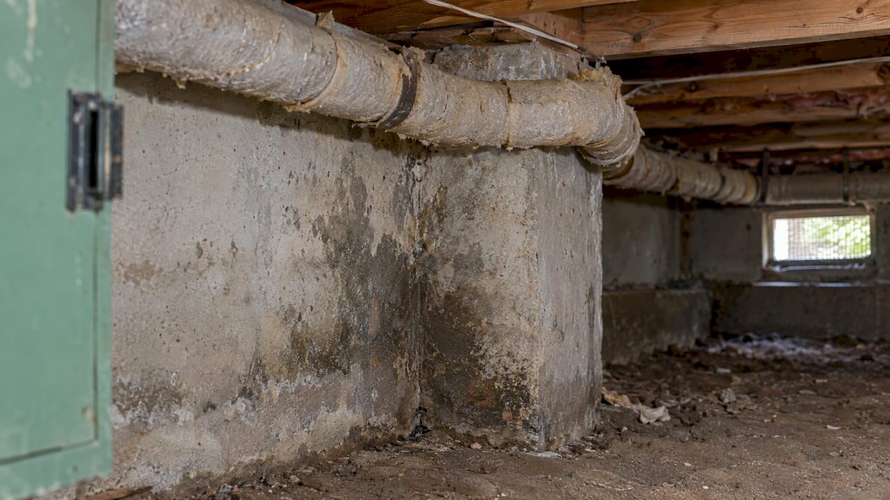 Damp crawlspace wall beside aged pipe insulation