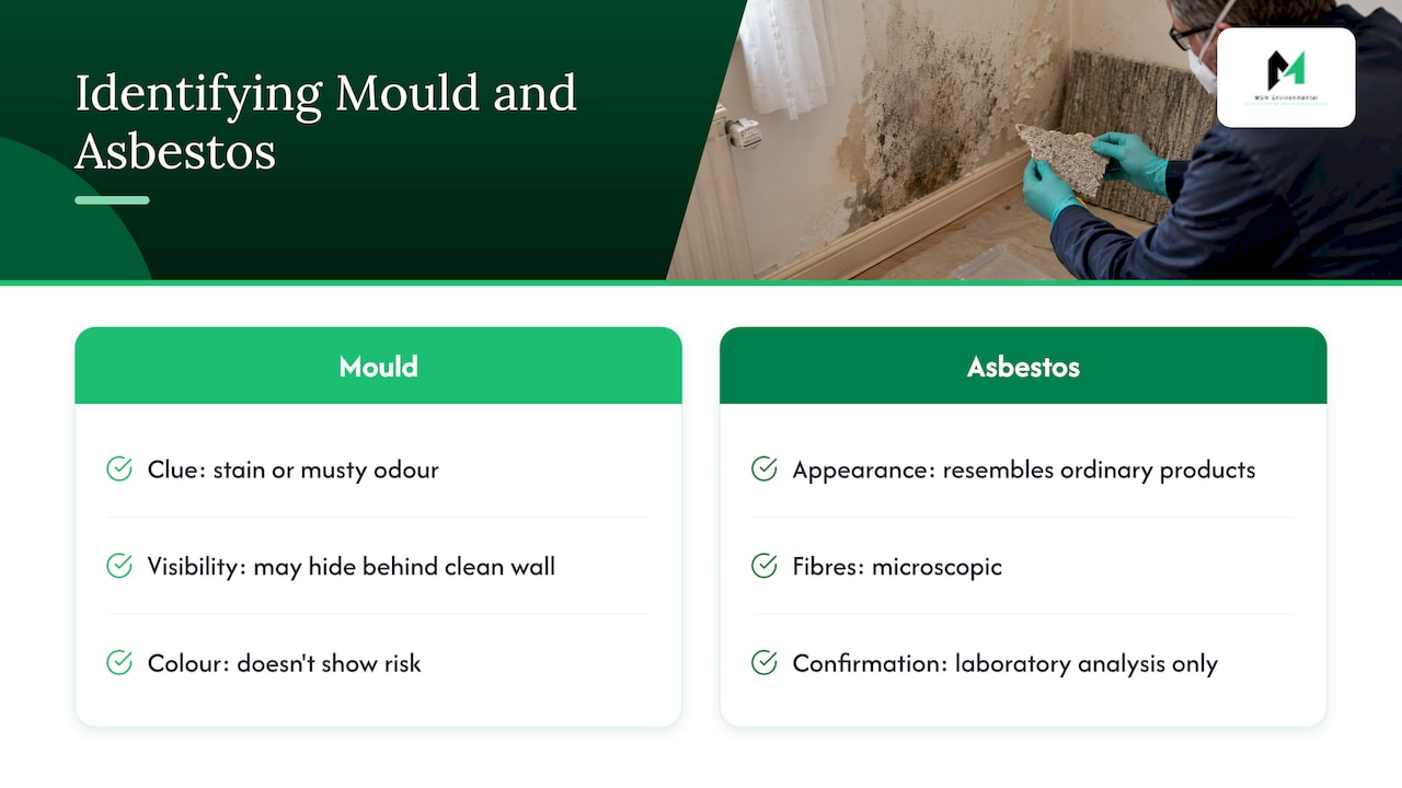 Mould and asbestos identification compared